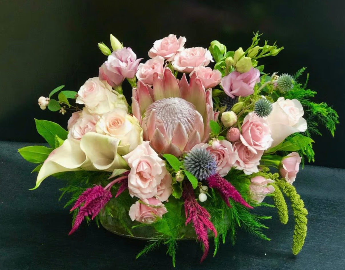 LA JOLLA ENCHANTED GARDEN