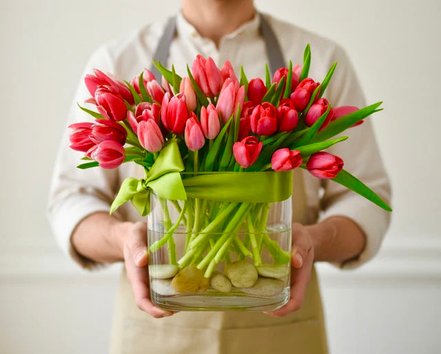 TULIPANO