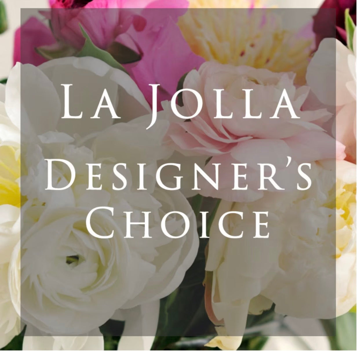 LA JOLLA DESIGNER'S CHOICE